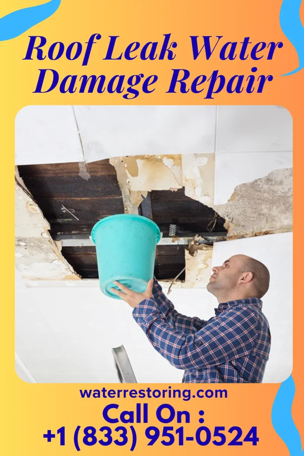 Roof Leak Water Damage Repair in Fowler, KS