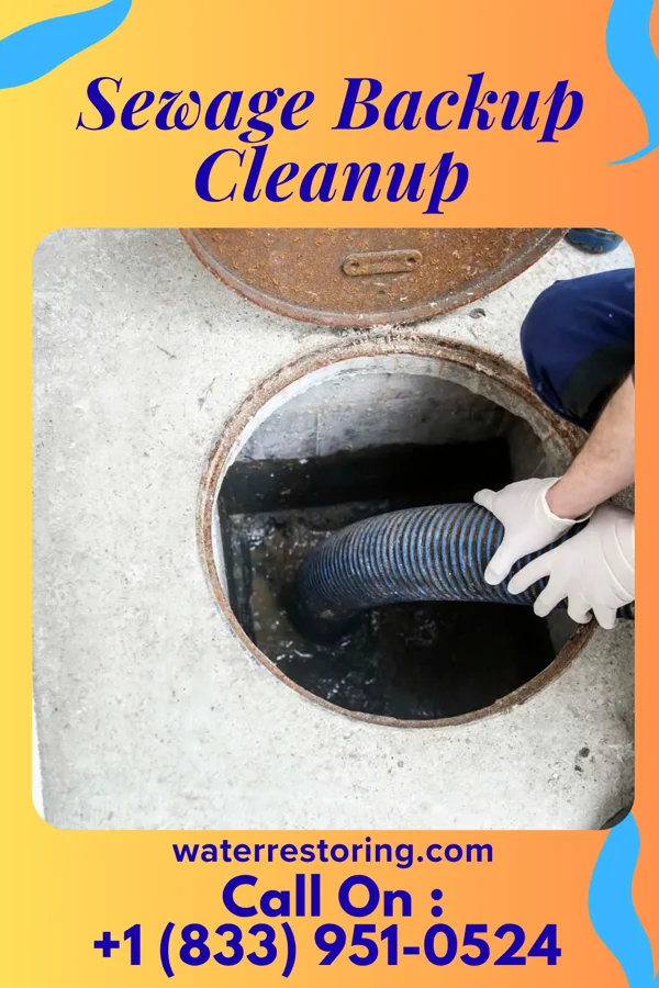 Sewage Backup Cleanup in Fowler, KS